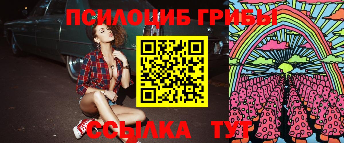 Галлюциногенные грибы прущие грибы  Вход с VPN  Великий Устюг  Галлюциногенные грибы Cubensis 